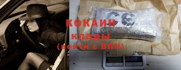 индика Балабаново
