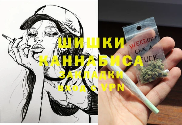 индика Балабаново