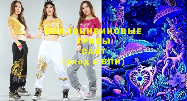 индика Балабаново