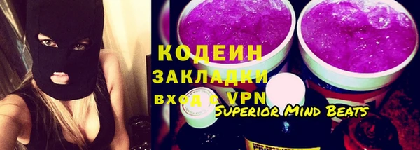 индика Балабаново