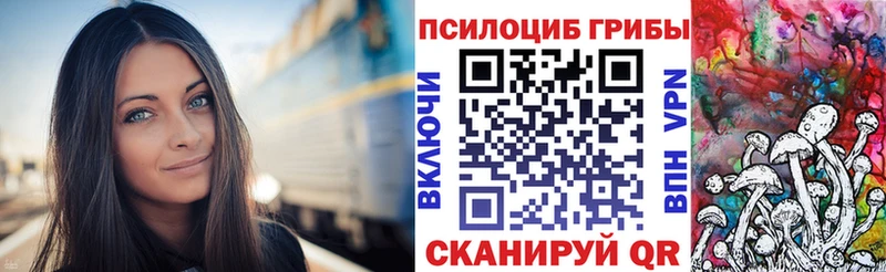 Галлюциногенные грибы Psilocybe  kraken зеркало  Гатчина 