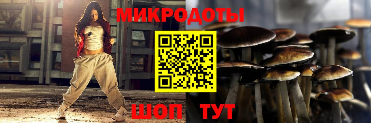 Галлюциногенные грибы мухоморы  Вход с VPN  Гатчина  Псилоцибиновые грибы Psilocybine cubensis 